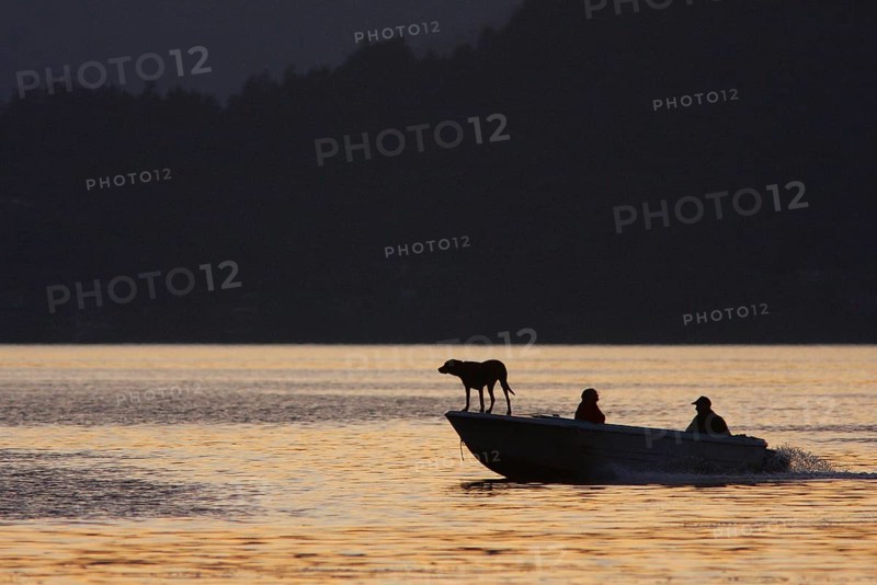 Motorboat with people and dog silhouetted at sunset