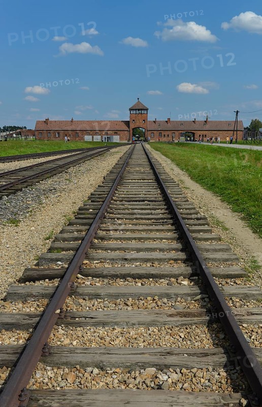 Tracks