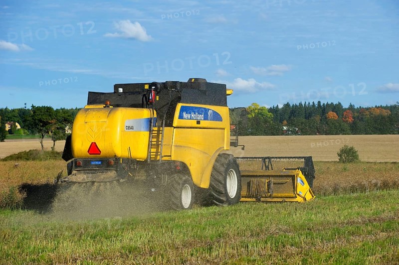 Oilseed Rape
