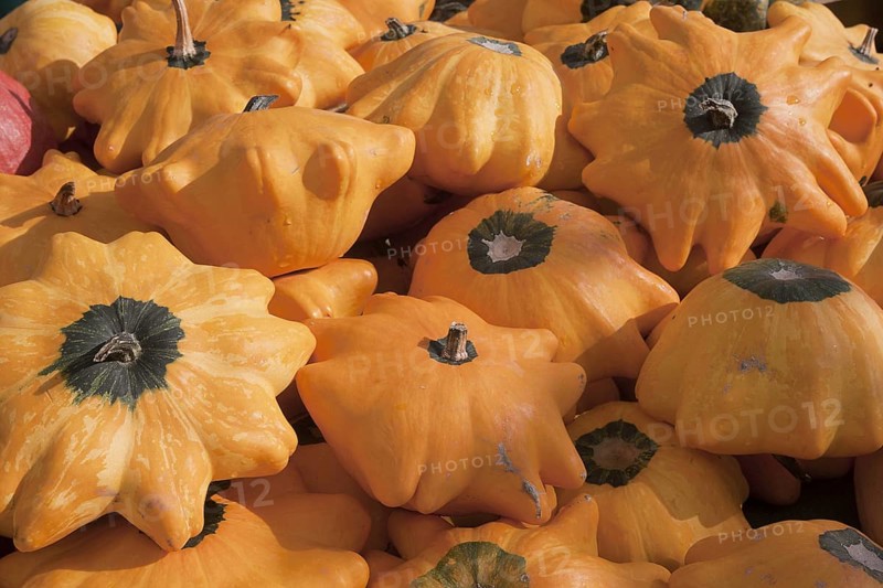 Garden pumpkin