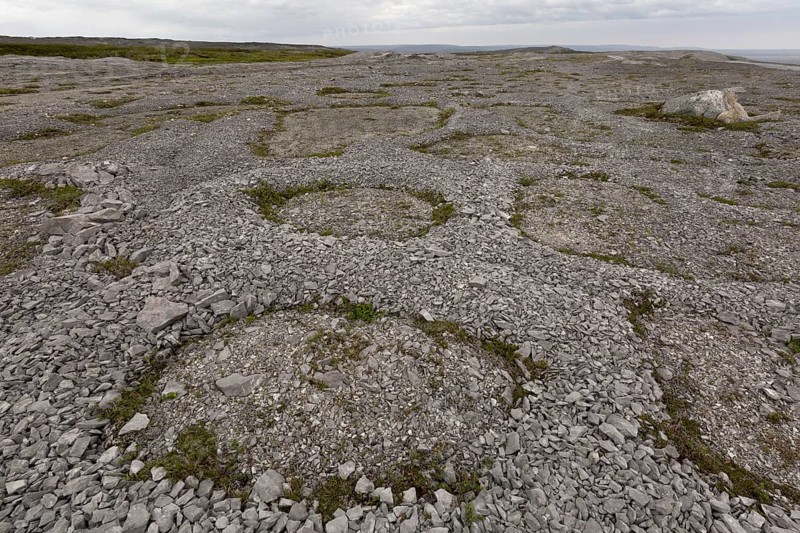 Frost polygons and other permafrost effects on Ordovician limestone