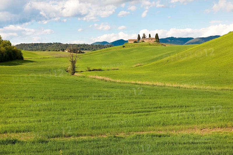 Grass Hill