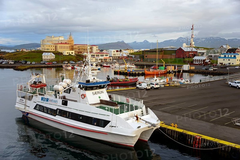 Harbour