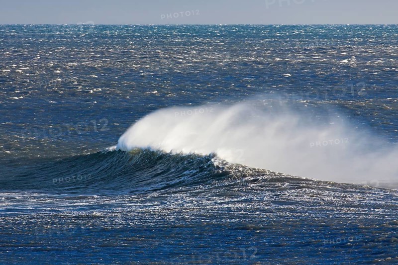 Wave crest in the Arctic Ocean with spray and spindrift due to strong winds