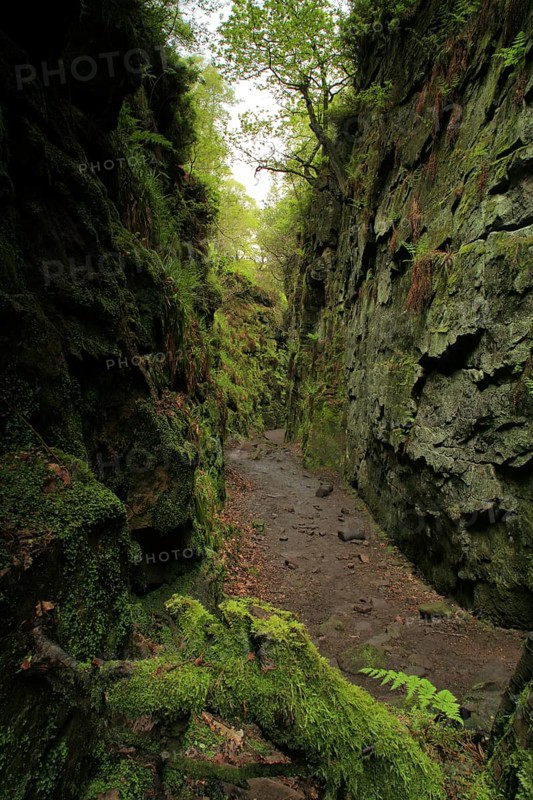 View of a deep chasm created by a massive landslide on the hillside