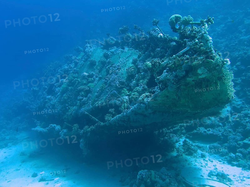 Wreck