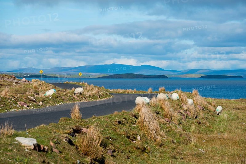 Landscape at Dooghbeg