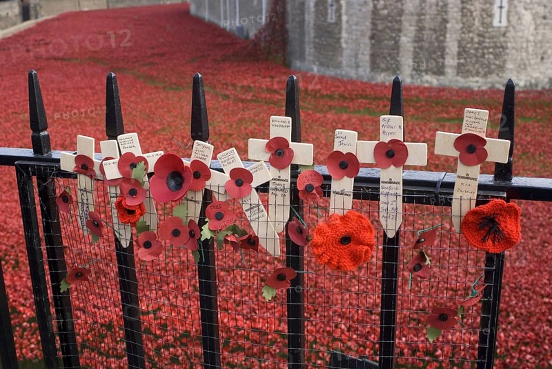 Remembrance poppies on railings beside art installation commemorating centenary of outbreak of World War One