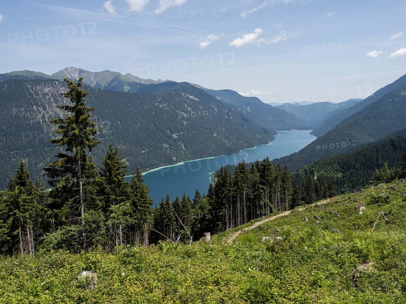 View from the Naggler Alm to the Weissensee