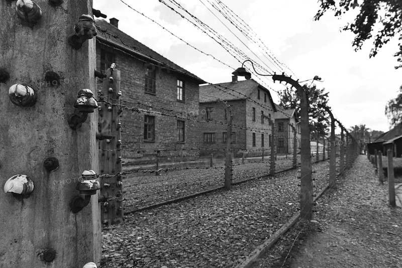 Barbed wire