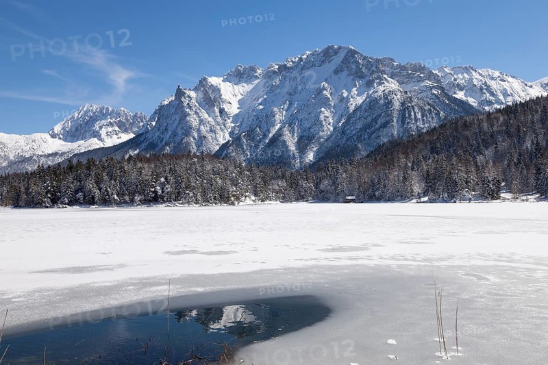 Winter landscape