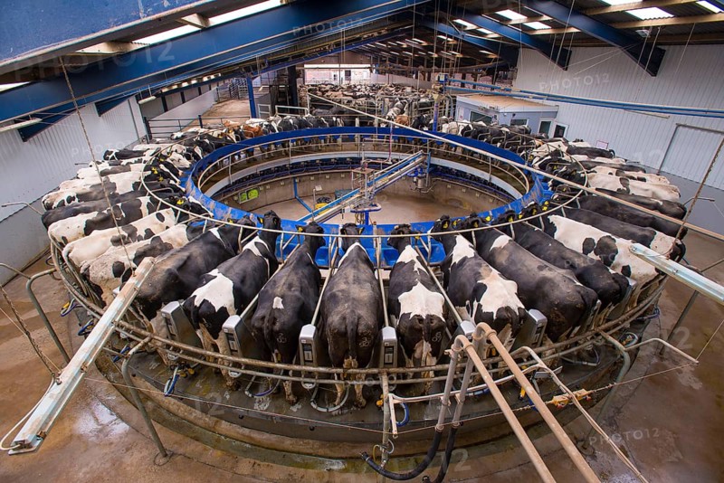 Dairy farming