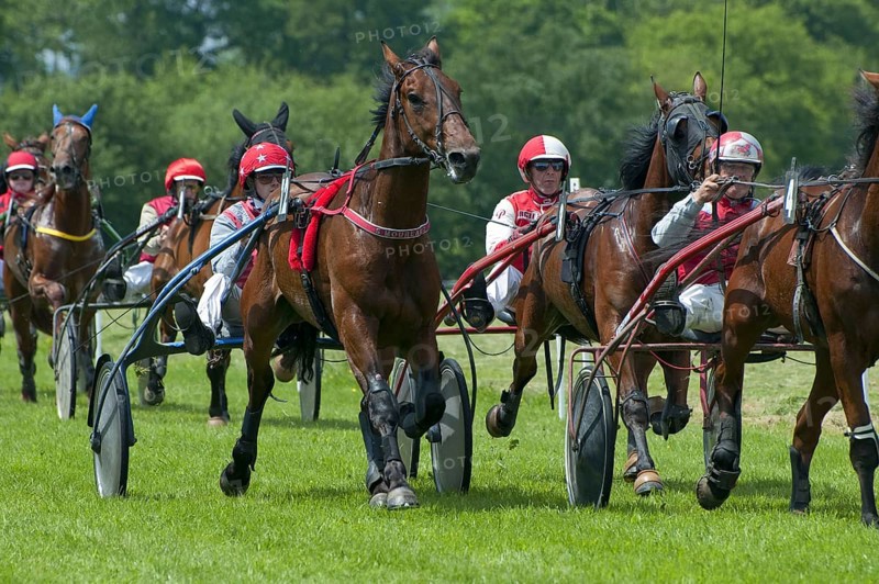 Horse racing