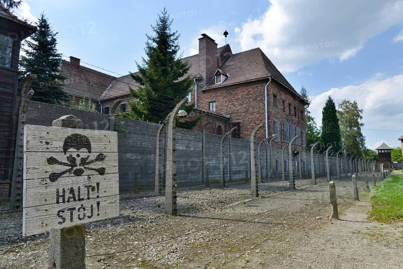Barbed wire