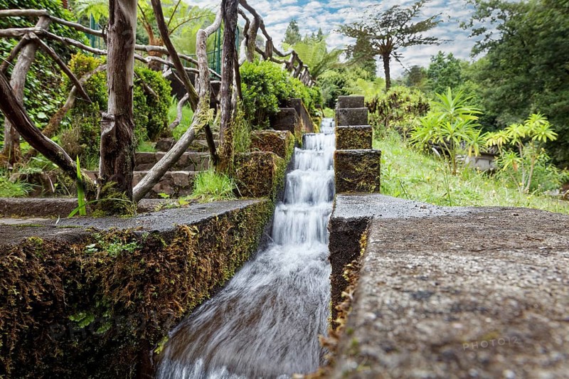 Levada