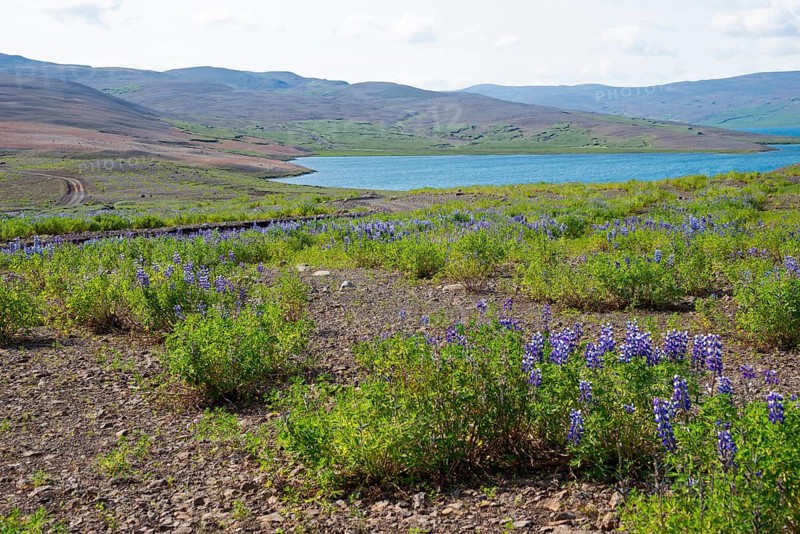 Lake Isholsvatn