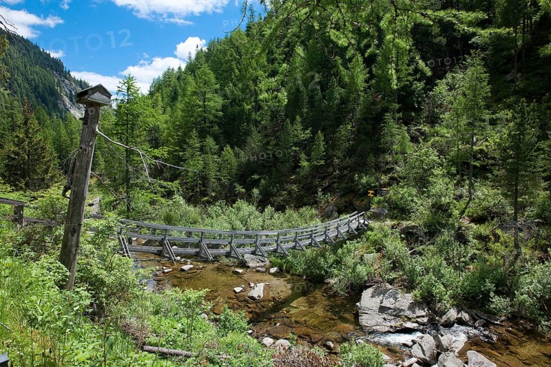 Wooden bridge