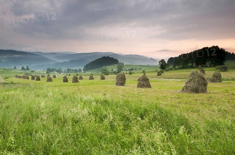 Hay ricks in montane meadow at sunset
