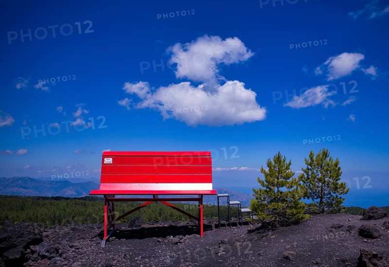 Giant Red Bench
