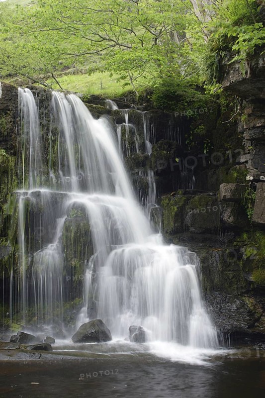 Waterfall by the Stream