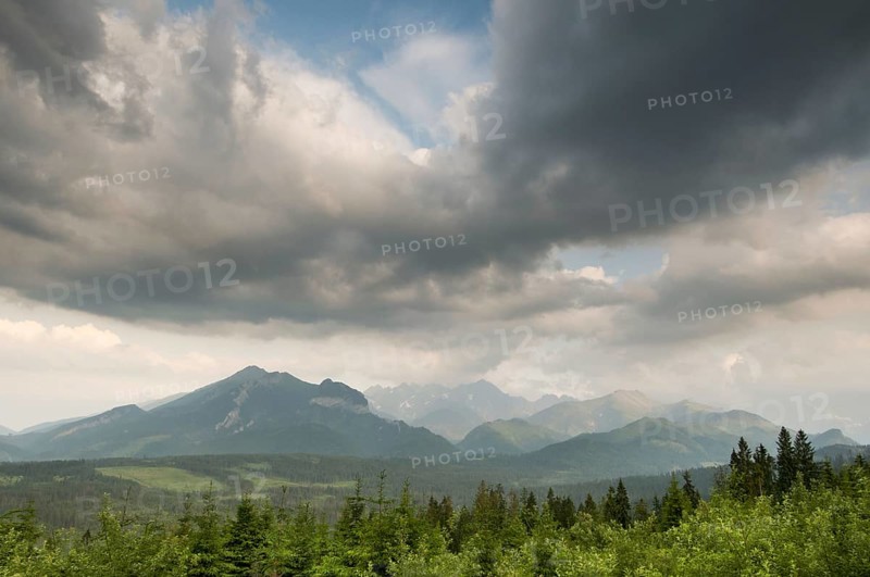 View of clouds over coniferous montane forest habitat at sunset