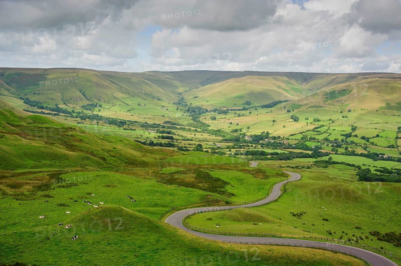 View of winding road through pasture with cattle