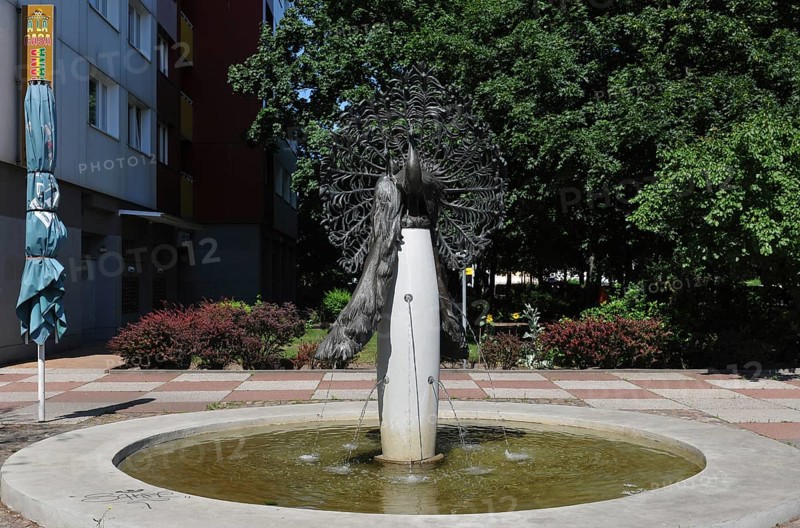 Peacock Fountain