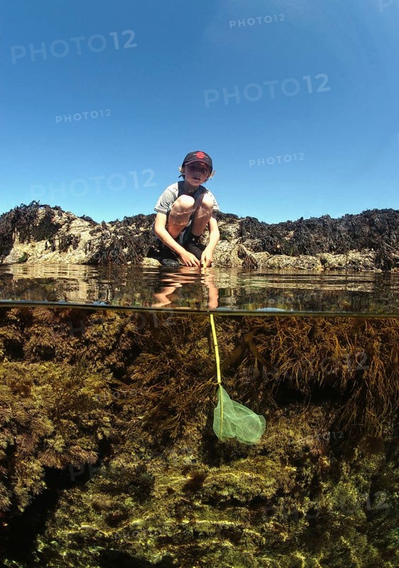 Rock pooling of boys in coastal rock pools