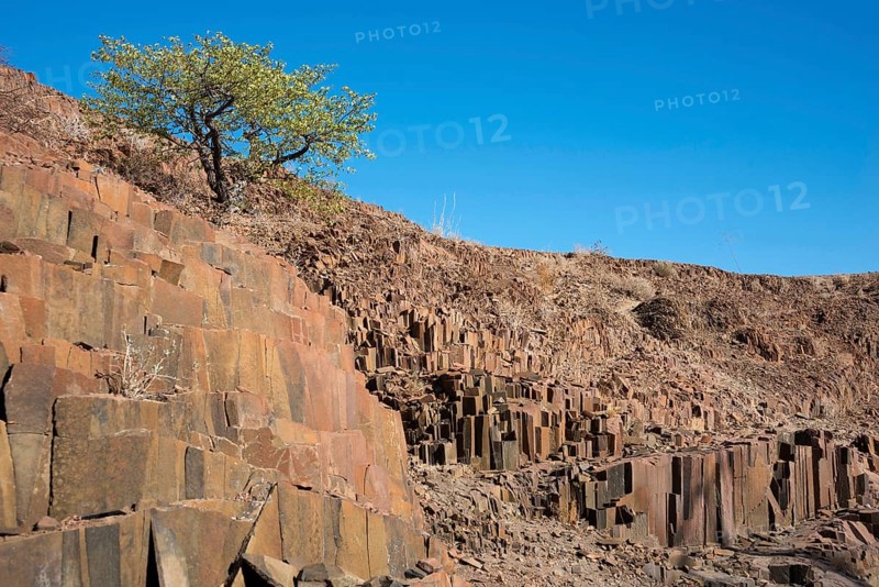 Organ pipes