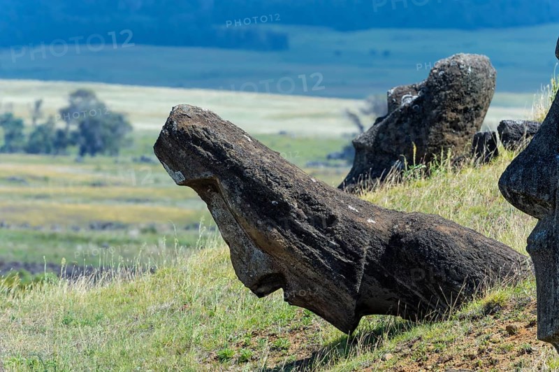 Moais in Rano Raraku