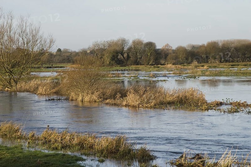 View of flooded meadows