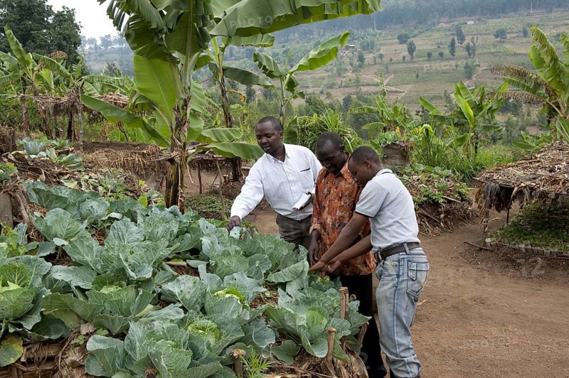 Farmer and local extension workers stand by the keyhole garden