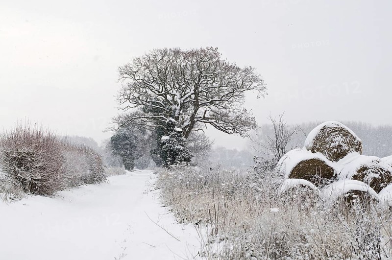View of snow-covered roadway and round bales of straw