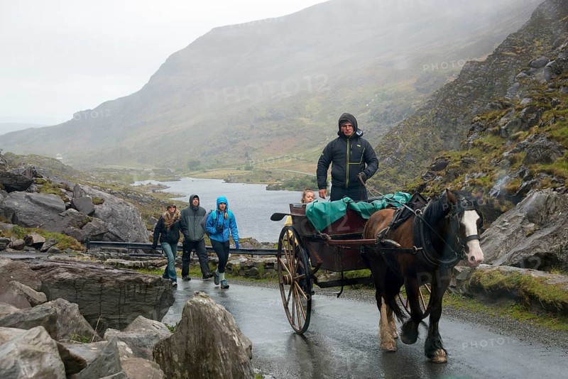 Carriage