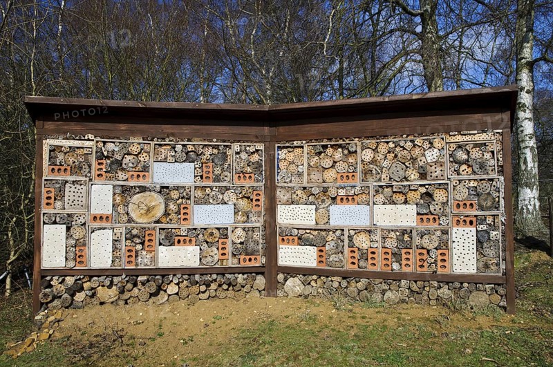Guinness World Record Holder for Largest Bug Hotel