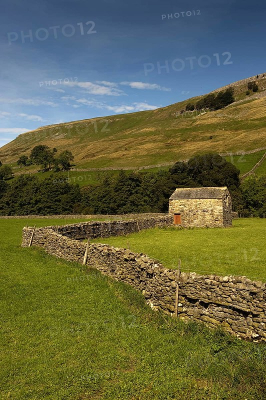 View of pasture