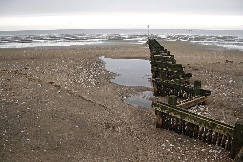 View of beach and groyne at low tide