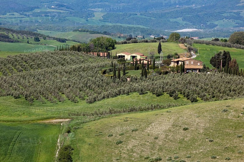 Tuscany with mediterranean cypress