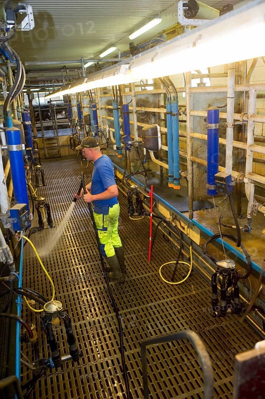 Dairy farmers clean milking parlour