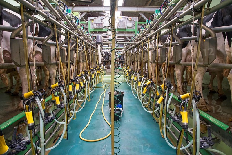 Dairy farming