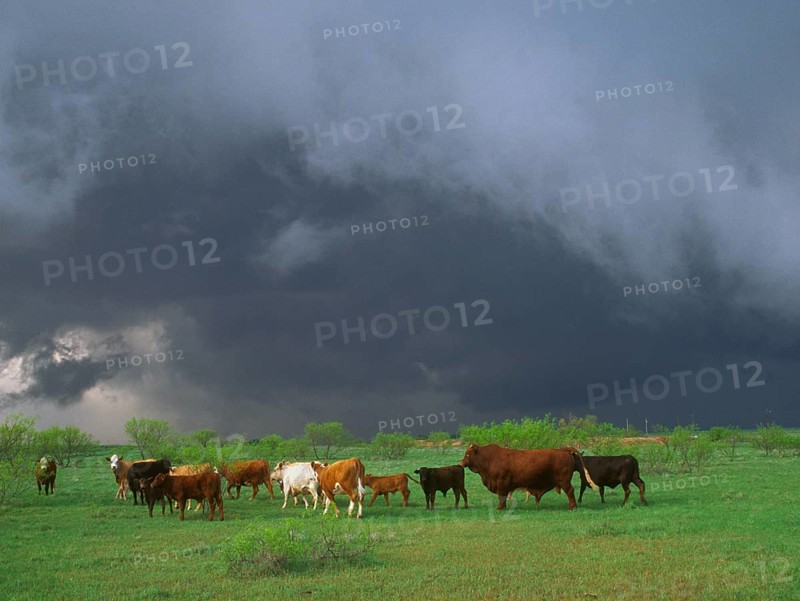 Stormy skies