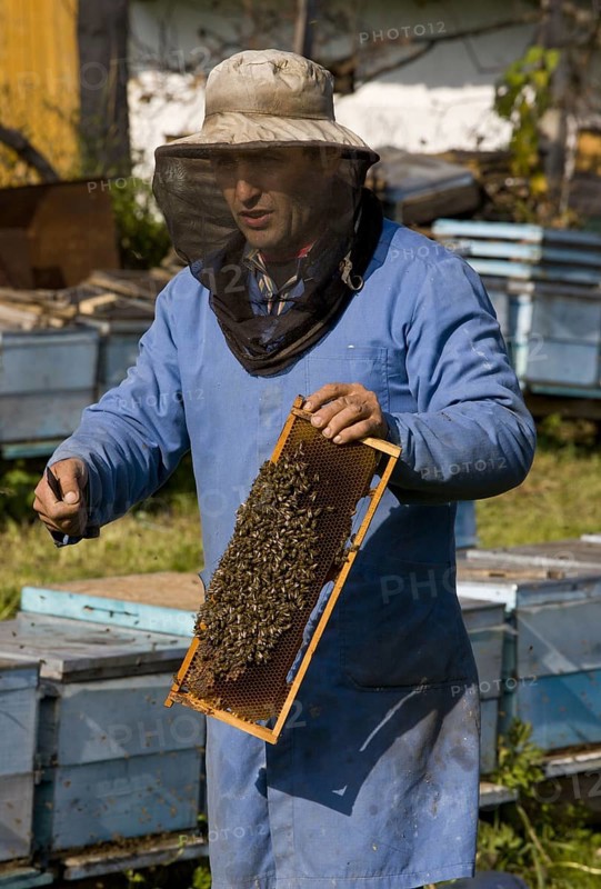 Bee keeping