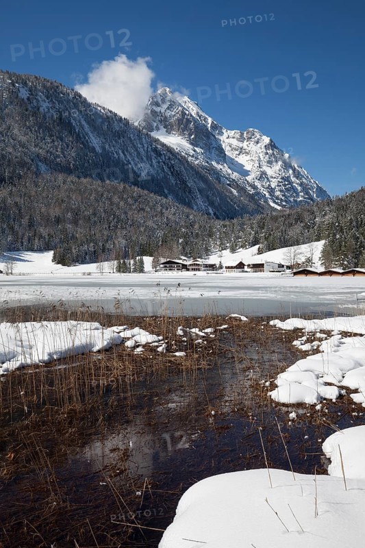 Winter landscape