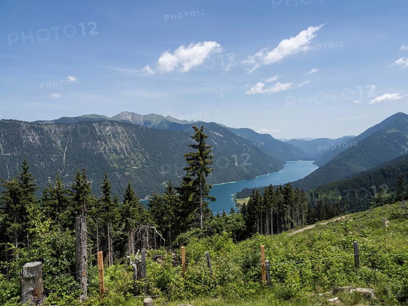 View from the Naggler Alm to the Weissensee