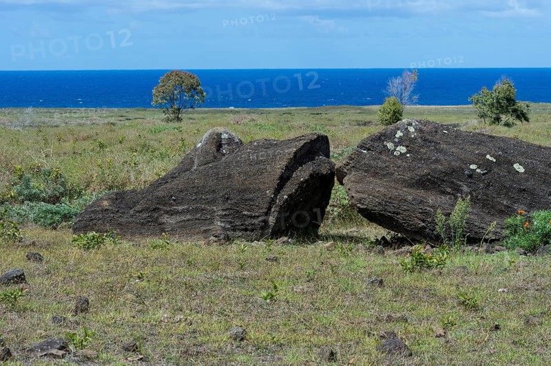 Moai in Rano Raraku