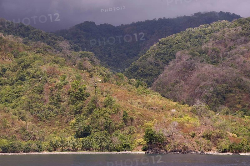 View of the coastline with forested hills and rain clouds