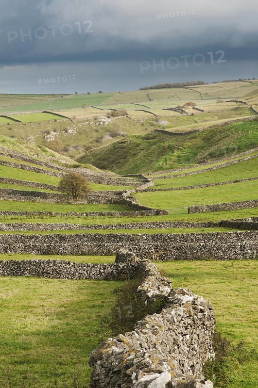 View of dry stone walls and pastures