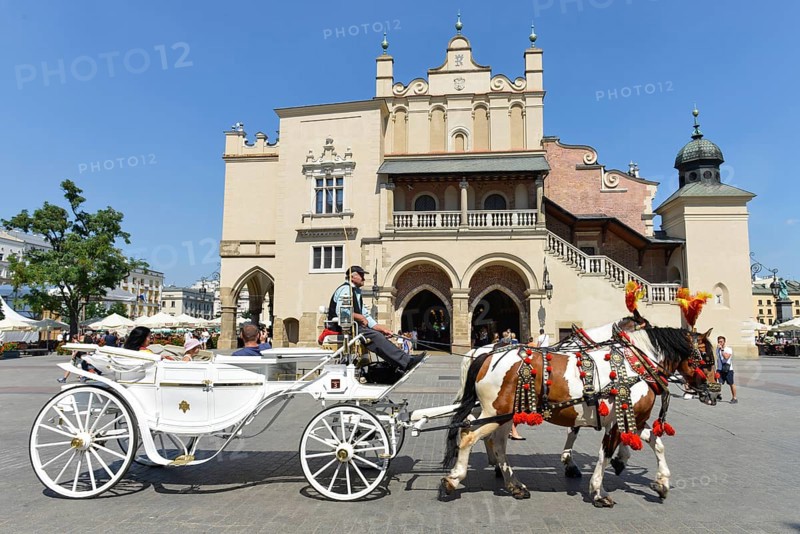Horse-drawn carriage