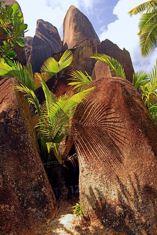 Palm trees and granite rocks on the dream beach Source d'Argent