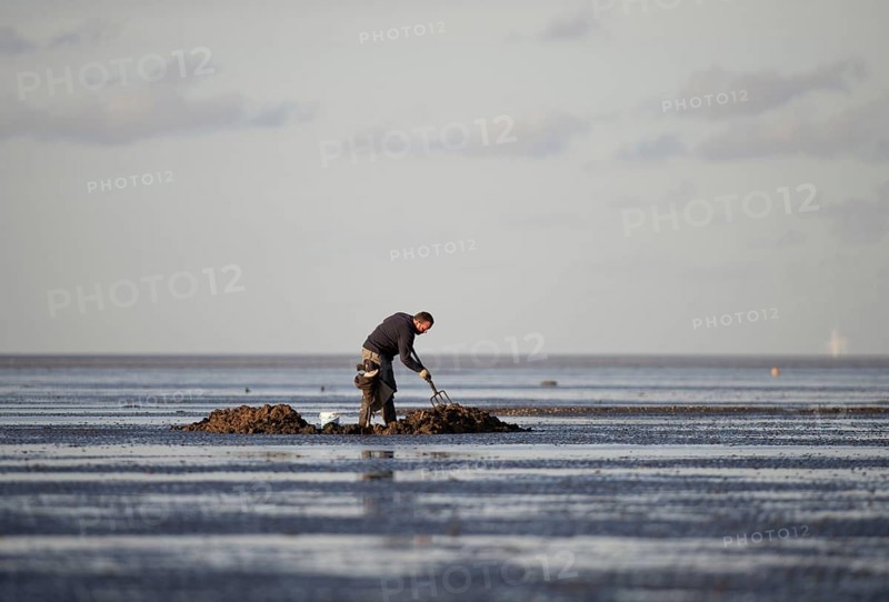 Angler digging for worms as bait